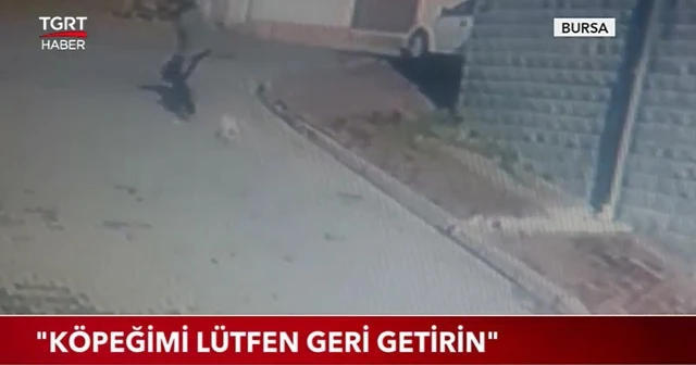 "Köpeğimi lütfen geri getirin"
