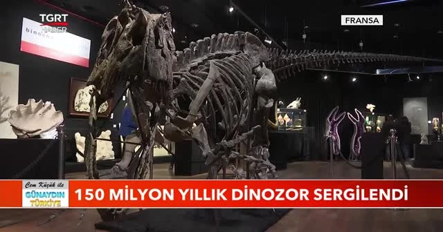150 milyon yıllık dinozor sergilendi