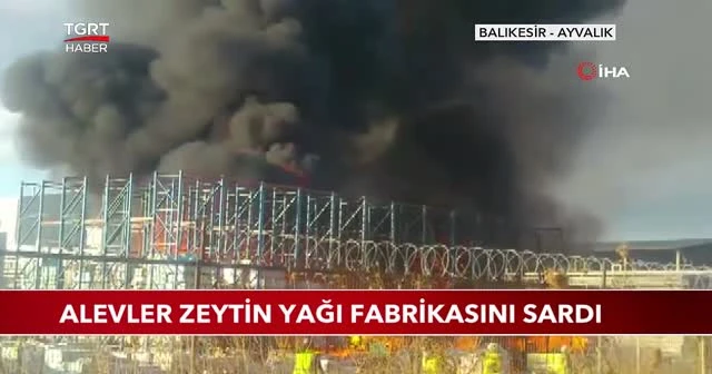 Alevler zeytinyağı fabrikasını sardı