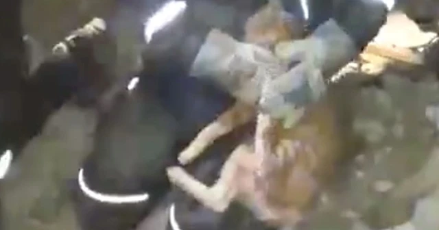 Arama-kurtarma ekipleri kediyi kurtardı