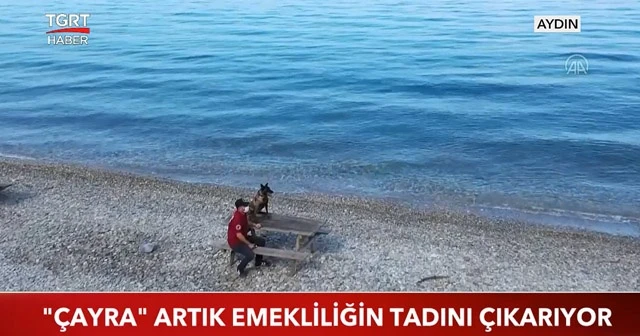 Çayra emekliliğin tadını çıkartacak