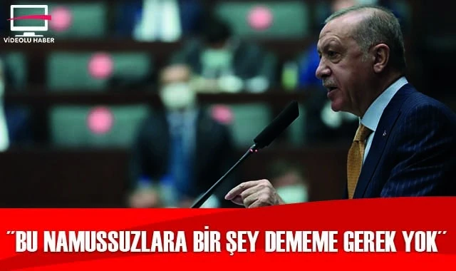 Cumhurbaşkanı Erdoğan: Bu namussuzlara bir şey dememe gerek yok
