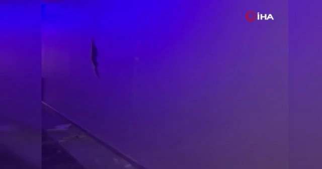 Deprem sonrası hasar gören bina böyle görüntülendi