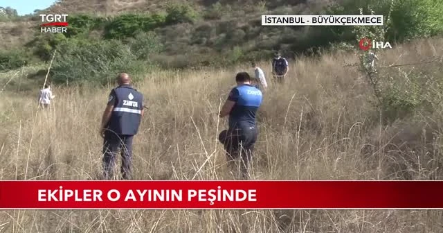 Ekipler o ayının peşinde