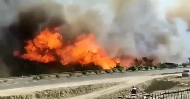 Hatay'da korkutan orman yangını