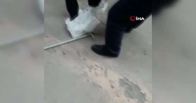 Otoparkta yılan paniği! İtfaiye ekipleri yakaladı