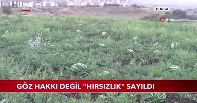 Yargıtay: "Göz hakkı" alınması hırsızlıktır