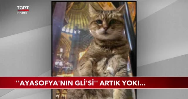 'Ayasofya'nın Gli'si' artık yok!
