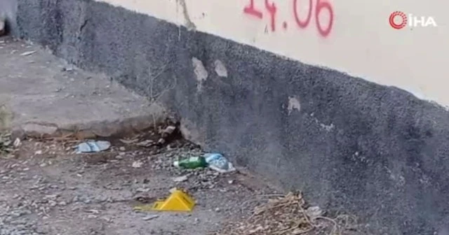5 tane üniversite bitirsen ne olur!