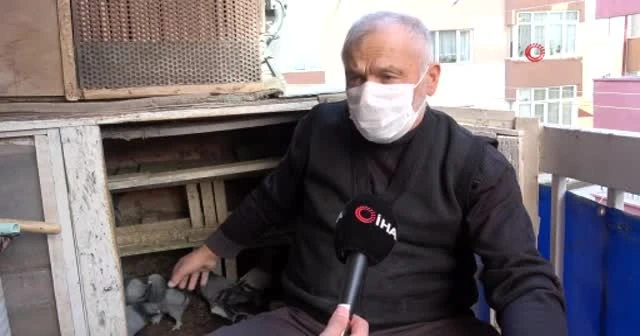 65 yıllık tutkusundan vazgeçemeyen yaşlı adam, evinin balkonunu kümese çevirdi