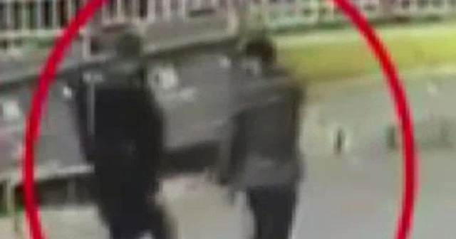 Bir türlü akıllanmıyoruz