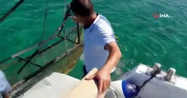 Çanakkale Boğazı 'ölüm tuzaklarından' temizlendi