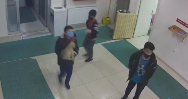 Çocuklar, yaralı köpeği kucaklayıp soluğu belediyede aldılar