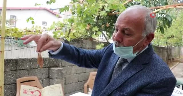 Evlilik cüzdanında sakladığı mısır püskülünü 46 yıl sonra çıkardı