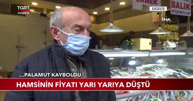 Hamsinin fiyatı yarı yarıya düştü
