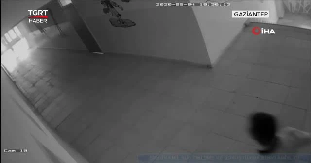 Hırsızlar okullara dadandı
