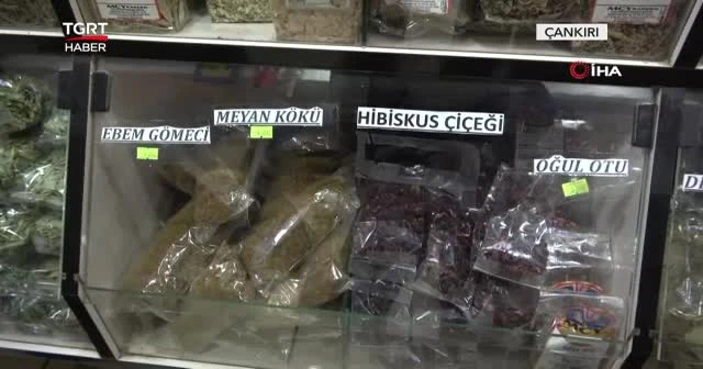 Ihlamur fiyatı altınla yarışıyor