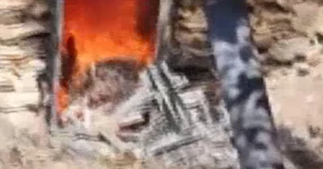 Kaçak avcıların kurduğu 41 güme imha edildi