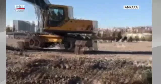 Kaçak bit pazarına polis müdahalesi