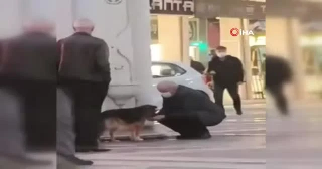 Köpeğe avucuyla su verdi