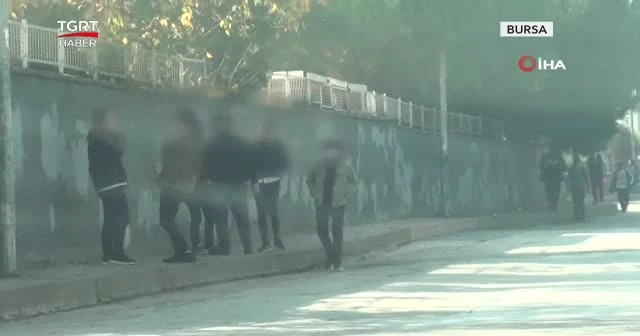 Ne maske takıyor, ne de yasak dinliyorlar