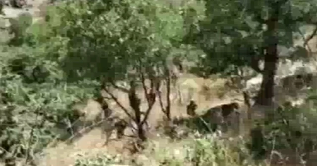 Pençe-Kaplan'da kaza: 2 asker şehit