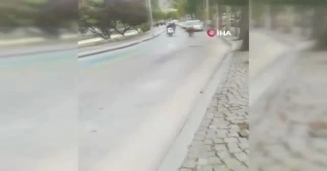 Sahibinden kaçan boğa trafiği birbirine kattı