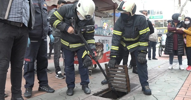 Sokak köpeği itfaiye ekiplerini harekete geçirdi