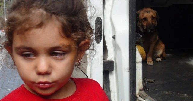Sokak köpeğini severken neredeyse gözünden oluyordu