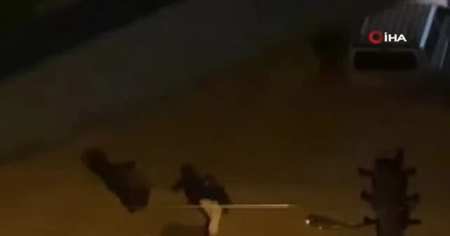 Sokak ortasında iki kadını darp etti, tokat sesleri sokaklarda yankılandı
