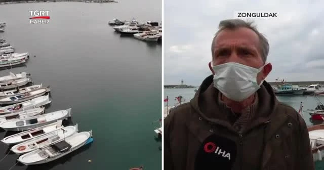 "Hamsi avına kota konulsun"