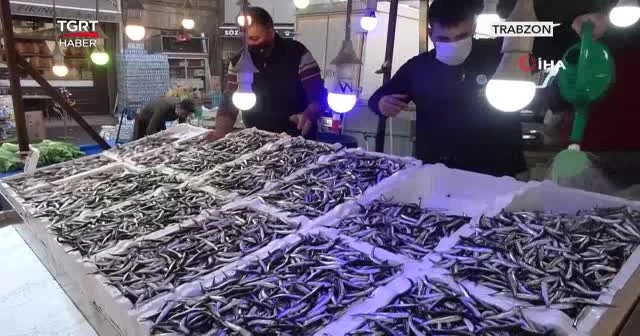 "Hamsi bir yıl avlanmasın"
