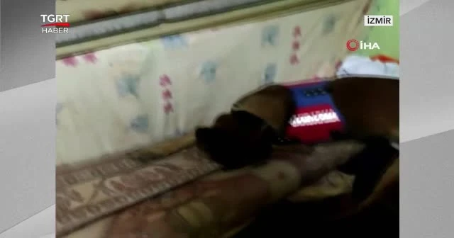 "Hassas burun"dan kaçamadılar
