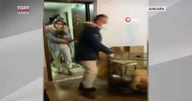 Binanın bodrum katında tam 68 köpek bulundu