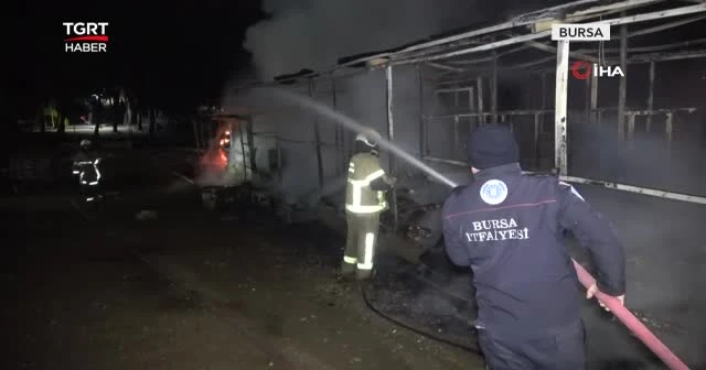 Çiftlikte çıkan yangında 10 at telef oldu