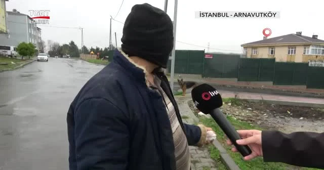 Emekli maaşı, sokağa terk edilen dostlara