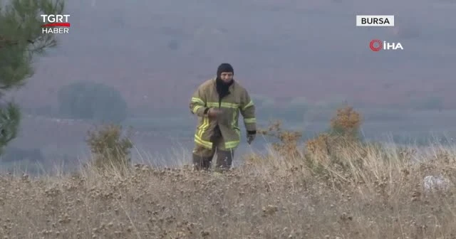 Evde öldürüldü, ormanda yakıldı
