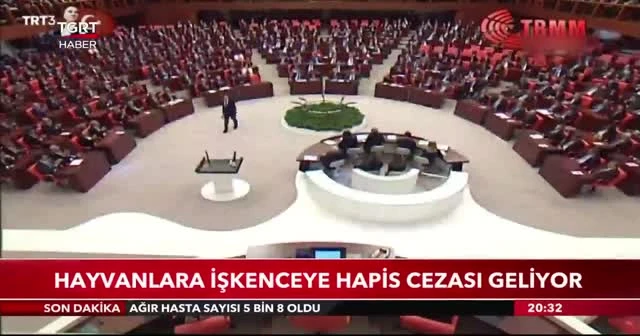 Hayvan hakları yasası tamamlandı