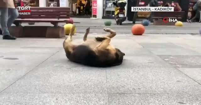Kendini müziğin ritmine bıraktı