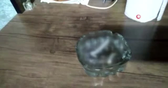 Kumar baskınından sürünerek kaçış