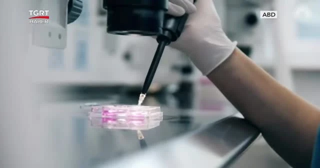 Moderna aşısı 'güvenilir' onayı aldı