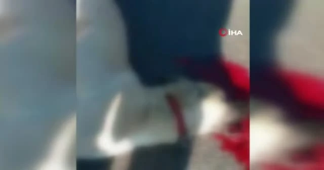 Motoru ile köpeğe çarptı, ‘Ne fark eder’ dedi