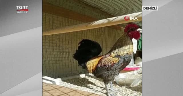 Nefesini bir türlü ayarlayamadı bayıldı