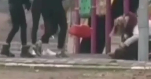 Parkta genç kıza darp!