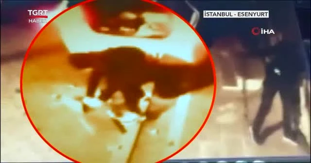 Sakar hırsızlar kamerada