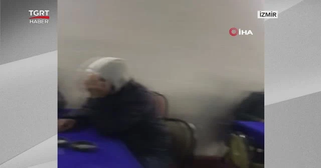 Tavuk çiftliğinde kumar oynuyorlardı