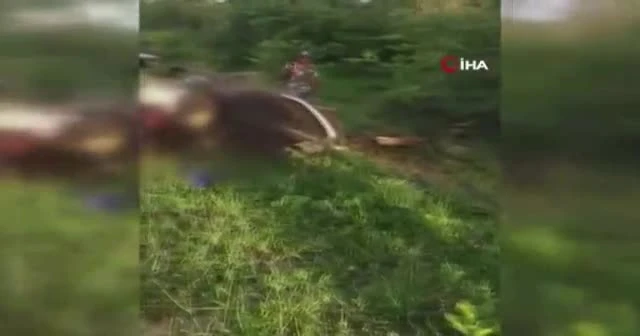 Zimbabve’de katliam gibi kaza: 17 ölü