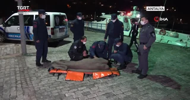 25 metrelik falezlerden düştü