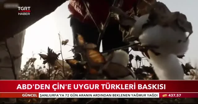 ABD’den Çin’e Uygur Türkleri baskısı