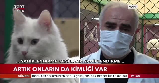 Artık onların da kimliği var